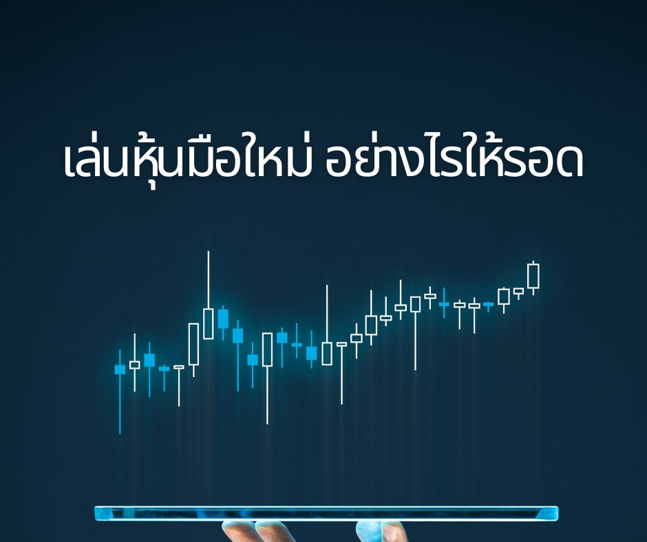 เล่นหุ้นมือใหม่ อย่างไรให้รอด